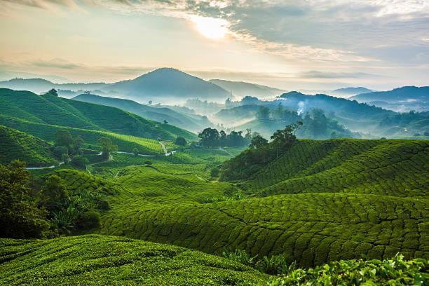 Ou Inn Cameron Highlands ,Ferm Nyonya Restaurant Tanah Rata Bagian luar foto